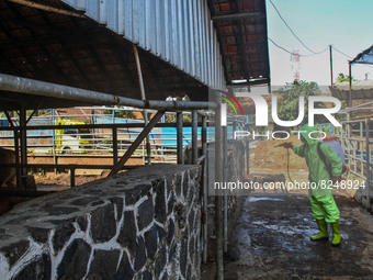 An officer is seen spraying disinfectant in the cage area to Prevention of the Spread of Mouth and Nail Disease (PMK) on May 18, 2022, in Ba...