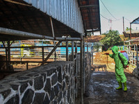 An officer is seen spraying disinfectant in the cage area to Prevention of the Spread of Mouth and Nail Disease (PMK) on May 18, 2022, in Ba...