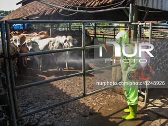 An officer is seen spraying disinfectant in the cage area to Prevention of the Spread of Mouth and Nail Disease (PMK) on May 18, 2022, in Ba...