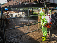 An officer is seen spraying disinfectant in the cage area to Prevention of the Spread of Mouth and Nail Disease (PMK) on May 18, 2022, in Ba...