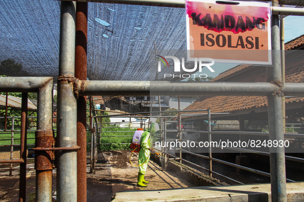 An officer is seen spraying disinfectant in the isolation cage area prevention of the Spread of Mouth and Nail Disease (PMK) on May 18, 2022...