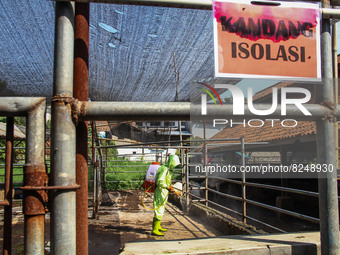 An officer is seen spraying disinfectant in the isolation cage area prevention of the Spread of Mouth and Nail Disease (PMK) on May 18, 2022...