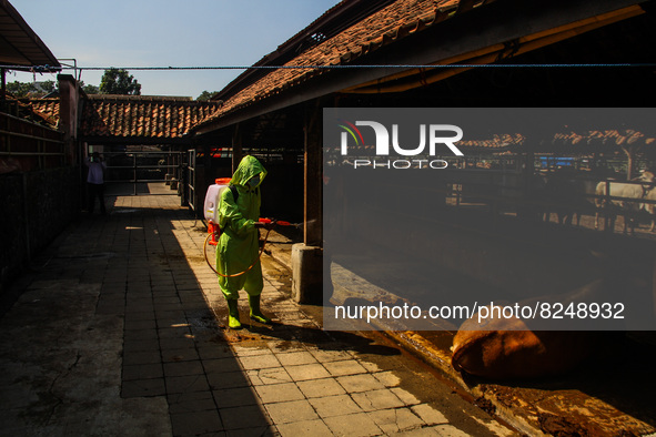 An officer is seen spraying disinfectant in the cage area to Prevention of the Spread of Mouth and Nail Disease (PMK) on May 18, 2022, in Ba...