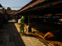 An officer is seen spraying disinfectant in the cage area to Prevention of the Spread of Mouth and Nail Disease (PMK) on May 18, 2022, in Ba...