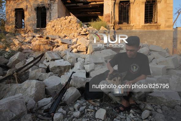 A fighter from the Free Syrian Army plays with his dog following clashes with the pro-regime forces, in the old quarter of the northern Syri...