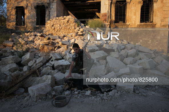 A fighter from the Free Syrian Army plays with his dog following clashes with the pro-regime forces, in the old quarter of the northern Syri...