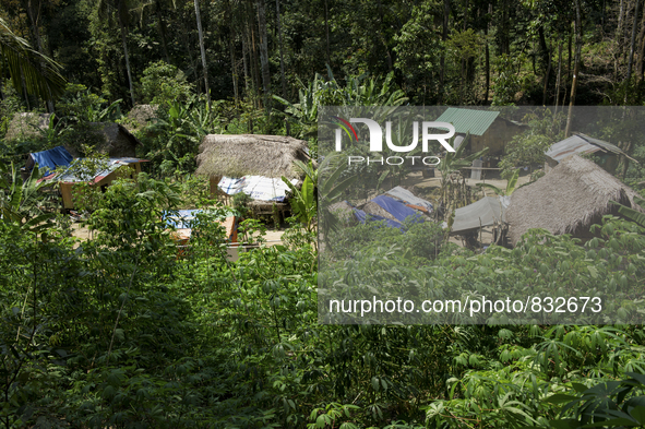 General view of Orang Asli's village. There are 10 houses in there. Malaysia is one of the most fast developing country nevertheless , the m...