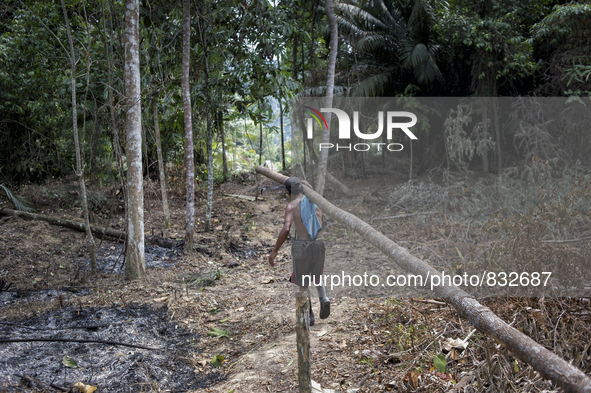 Sawang(30) who is a new member of this village from Gua Musang, Kelantan. He is carrying a wood for a new house. Malaysia is one of the most...