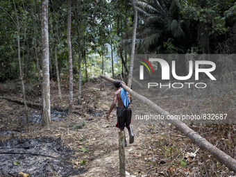 Sawang(30) who is a new member of this village from Gua Musang, Kelantan. He is carrying a wood for a new house. Malaysia is one of the most...