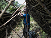 Tok Ulang(65) is building a top roof of new house.  Malaysia is one of the most fast developing country nevertheless , the modernism there i...