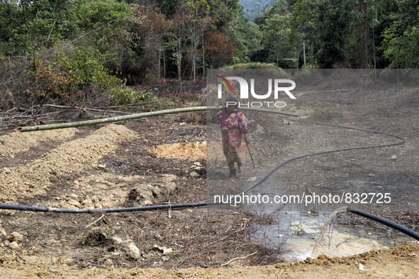 Salur(50) is return to village with cutted bamboo which will be used for wall of house and mat for floor.  Malaysia is one of the most fast...