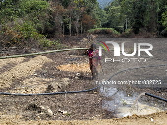 Salur(50) is return to village with cutted bamboo which will be used for wall of house and mat for floor.  Malaysia is one of the most fast...