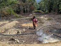 Salur(50) is return to village with cutted bamboo which will be used for wall of house and mat for floor.  Malaysia is one of the most fast...