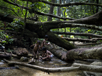 From right top Bulan(7), Mera(8) and Amak(3) are fishing and playing in the stream near by thier house. Malaysia is one of the most fast dev...