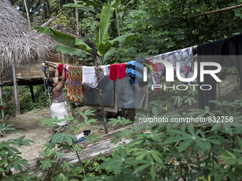 Mak Bakok(28) is hanging clothes Malaysia is one of the most fast developing country nevertheless , the modernism there is a group of people...