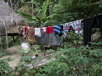 Mak Bakok(28) is hanging clothes Malaysia is one of the most fast developing country nevertheless , the modernism there is a group of people...