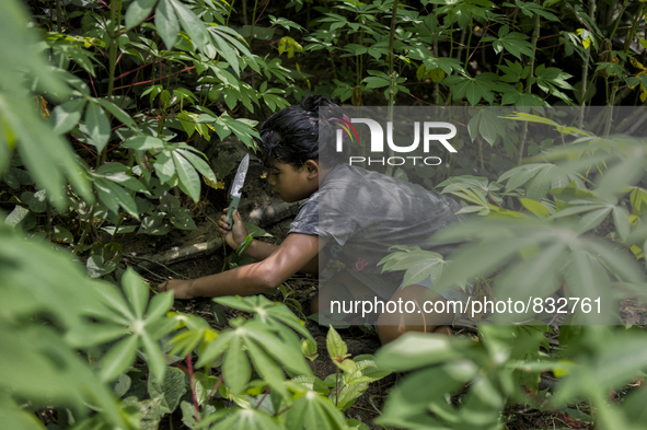 Katalina(10) is picking vegetable for thier meal. Malaysia is one of the most fast developing country nevertheless , the modernism there is...