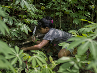 Katalina(10) is picking vegetable for thier meal. Malaysia is one of the most fast developing country nevertheless , the modernism there is...