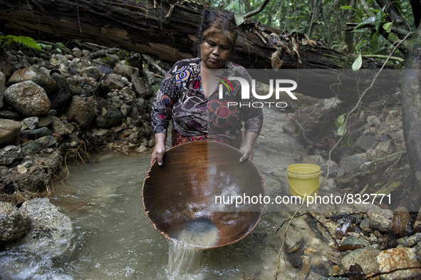 Salur(50) is washing Tin in stream. Malaysia is one of the most fast developing country nevertheless , the modernism there is a group of peo...