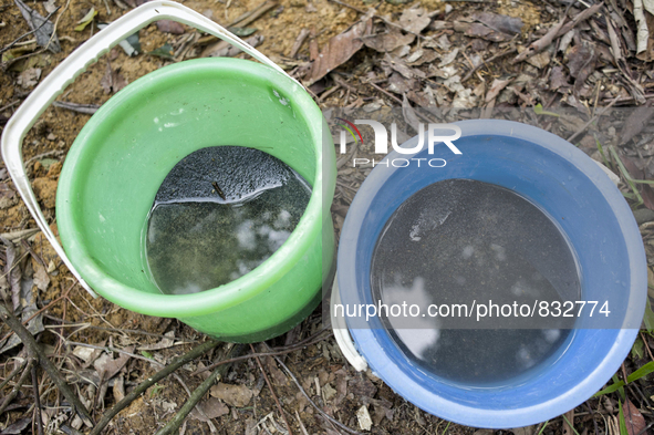 After two process of cleaning , tin is ready for sale. 
1Kg tin is selling at about 30RM and its a main income source of the village. 
 Mala...