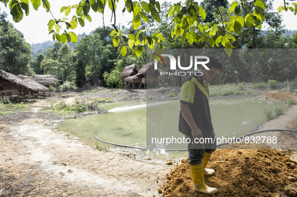 Ken Yee Lai(28) is doing finish work for bank. This pond is a main source of fish supply for thier meal. Malaysia is one of the most fast de...