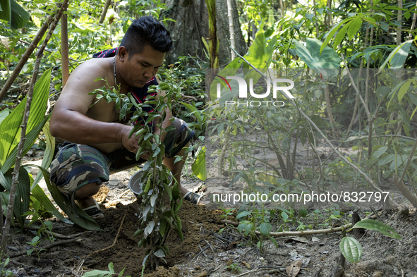 A. Ramlee(32) is planting a lime tree which is symbol and hope for thier future generation.  Malaysia is one of the most fast developing cou...