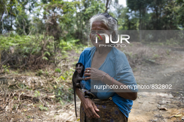  Malaysia is one of the most fast developing country nevertheless , the modernism there is a group of people still lives with the way of the...