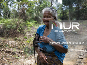  Malaysia is one of the most fast developing country nevertheless , the modernism there is a group of people still lives with the way of the...