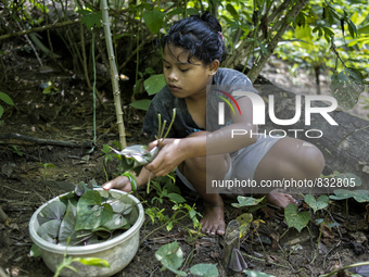  Malaysia is one of the most fast developing country nevertheless , the modernism there is a group of people still lives with the way of the...