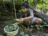  Malaysia is one of the most fast developing country nevertheless , the modernism there is a group of people still lives with the way of the...