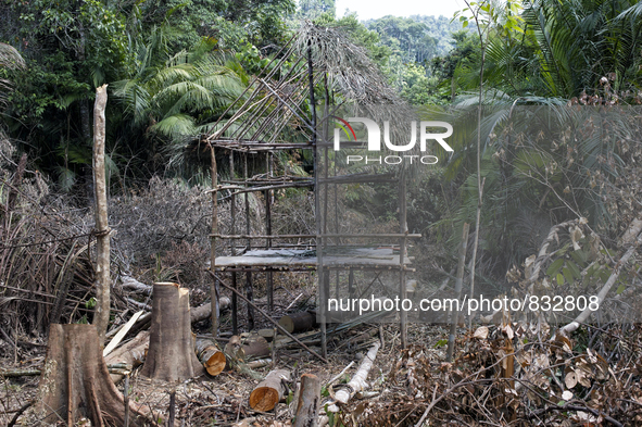  Malaysia is one of the most fast developing country nevertheless , the modernism there is a group of people still lives with the way of the...