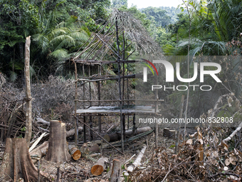  Malaysia is one of the most fast developing country nevertheless , the modernism there is a group of people still lives with the way of the...