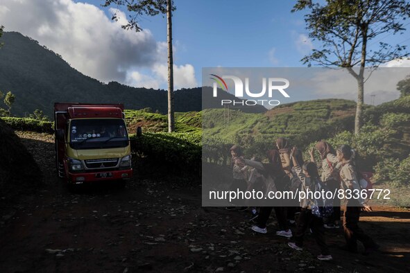 Students walking to school through the tea plantations in Tugu Utara Village, Regency Bogor, West Java province, Indonesia on 2 June, 2022. 