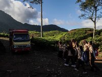 Students walking to school through the tea plantations in Tugu Utara Village, Regency Bogor, West Java province, Indonesia on 2 June, 2022....