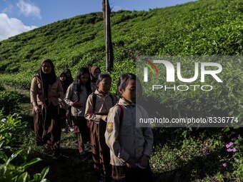 Students walking to school through the tea plantations in Tugu Utara Village, Regency Bogor, West Java province, Indonesia on 2 June, 2022....