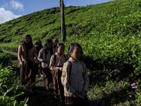 Students walking to school through the tea plantations in Tugu Utara Village, Regency Bogor, West Java province, Indonesia on 2 June, 2022....