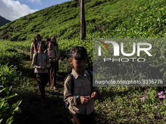 Students walking to school through the tea plantations in Tugu Utara Village, Regency Bogor, West Java province, Indonesia on 2 June, 2022....