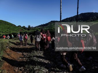 Students walking to school through the tea plantations in Tugu Utara Village, Regency Bogor, West Java province, Indonesia on 2 June, 2022....