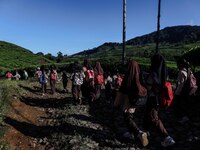 Students walking to school through the tea plantations in Tugu Utara Village, Regency Bogor, West Java province, Indonesia on 2 June, 2022....