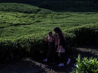 Students walking to school through the tea plantations in Tugu Utara Village, Regency Bogor, West Java province, Indonesia on 2 June, 2022....