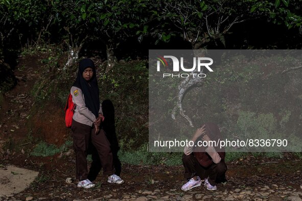 Students walking to school through the tea plantations in Tugu Utara Village, Regency Bogor, West Java province, Indonesia on 2 June, 2022. 