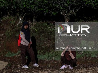 Students walking to school through the tea plantations in Tugu Utara Village, Regency Bogor, West Java province, Indonesia on 2 June, 2022....