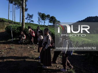 Students walking to school through the tea plantations in Tugu Utara Village, Regency Bogor, West Java province, Indonesia on 2 June, 2022....