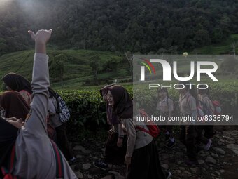 Students walking to school through the tea plantations in Tugu Utara Village, Regency Bogor, West Java province, Indonesia on 2 June, 2022....