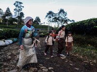 Students walking to school through the tea plantations in Tugu Utara Village, Regency Bogor, West Java province, Indonesia on 2 June, 2022....