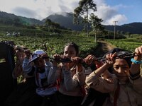 Students are huddling together in a truck to going school in Tugu Utara Village, Regency Bogor, West Java province, Indonesia on 2 June, 202...