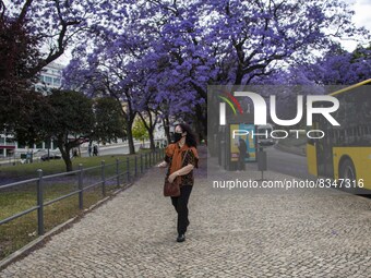 A person wearing a protective mask is seen walking around the Eduardo VII gardens. Lisbon, June 3, 2022. Portugal has already passed the pea...