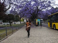 A person wearing a protective mask is seen walking around the Eduardo VII gardens. Lisbon, June 3, 2022. Portugal has already passed the pea...