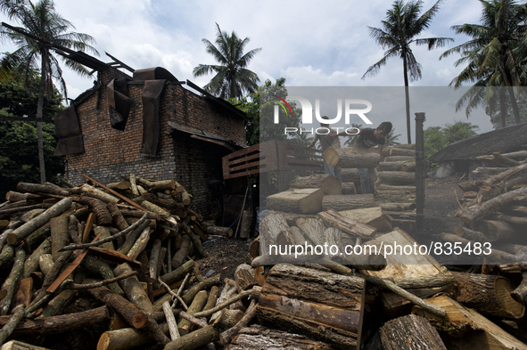 Two workers are unloading Oaks from their a truck / Kampung Keluat, Kelantan / © Chris Jung
 