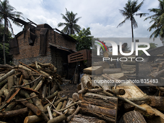 Two workers are unloading Oaks from their a truck / Kampung Keluat, Kelantan / © Chris Jung
 (